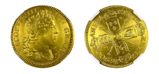 1716 (1828) Gold Guinea King James VIII NGC MS65 - Hard Asset Management, Inc